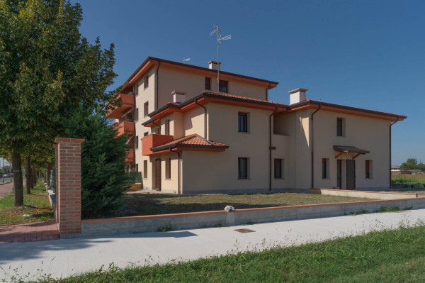 Villa nuova a San Pietro in Casale - Villa ristrutturata San Pietro in Casale