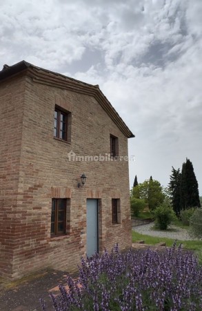 Villa nuova a Castelnuovo Berardenga - Villa ristrutturata Castelnuovo Berardenga